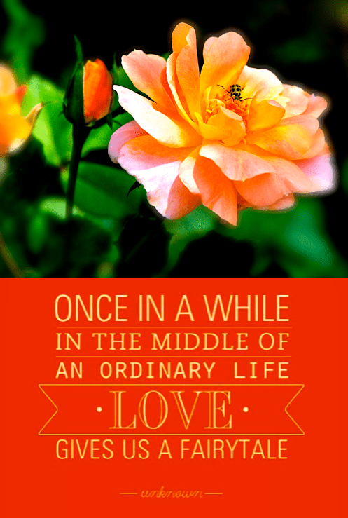 Screen Shot 2016-10-14 at 9.49.15 PM.png