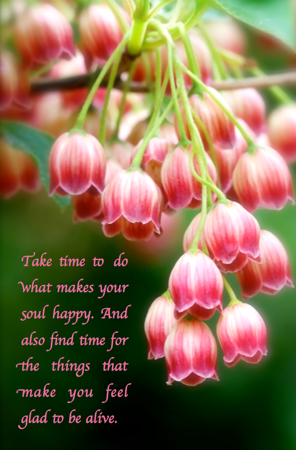 Screen Shot 2016-10-14 at 9.55.04 PM.png