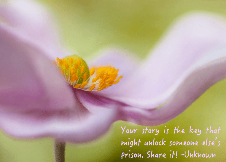 Screen Shot 2016-10-15 at 10.02.38 PM.png