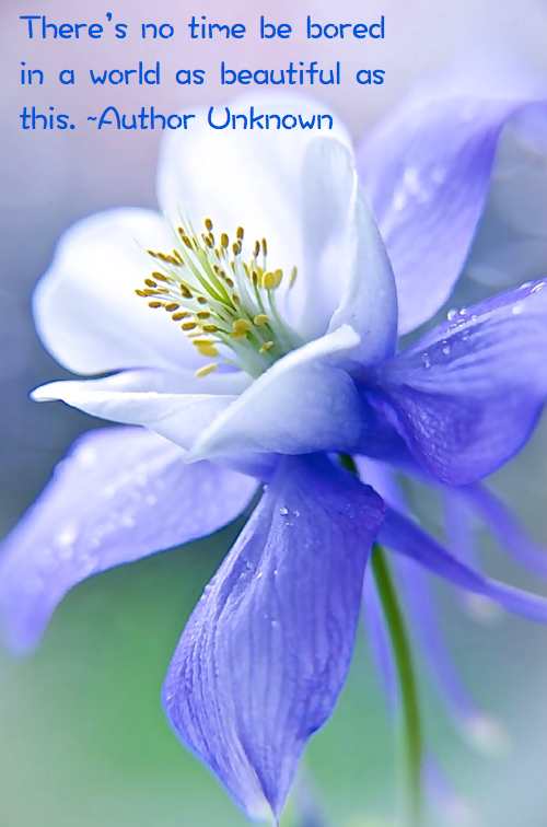 Screen Shot 2016-10-16 at 9.32.18 PM.png