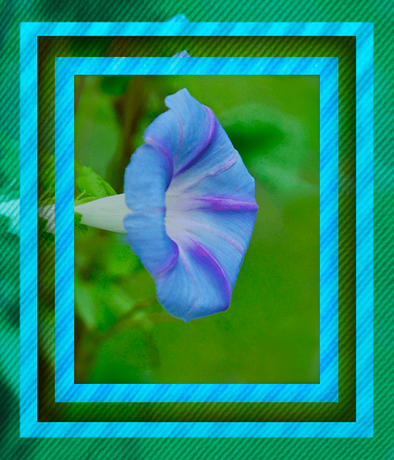 Screen Shot 2016-10-17 at 7.42.39 PM.png