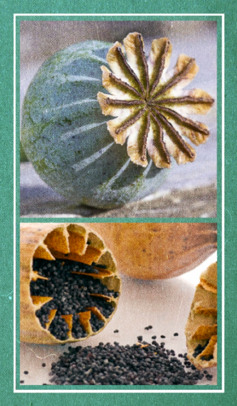 Screen Shot 2016-10-18 at 7.41.40 PM.png