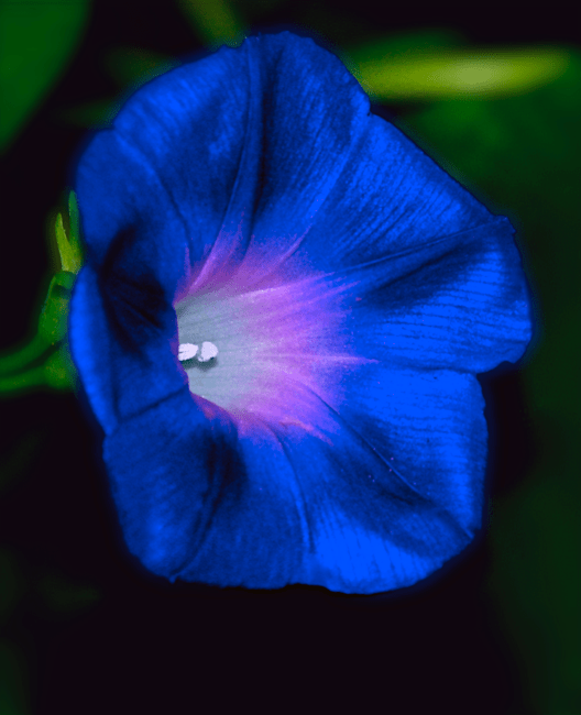 Screen Shot 2016-10-19 at 8.32.51 PM.png