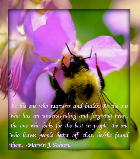 Screen Shot 2016-10-19 at 9.27.41 PM.png