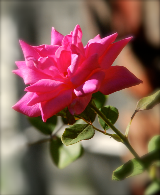 Screen Shot 2016-10-20 at 6.38.23 PM.png