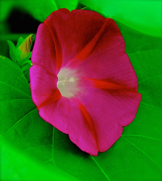 Screen Shot 2016-10-20 at 8.19.25 PM.png