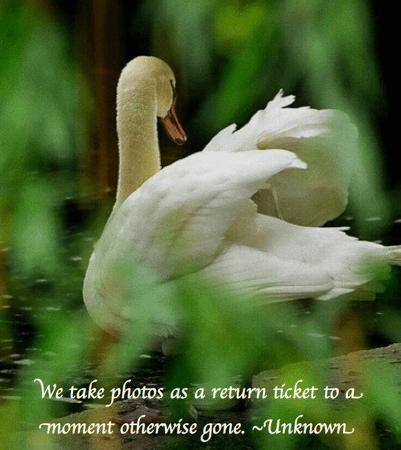 Screen Shot 2016-10-20 at 9.46.14 PM.png