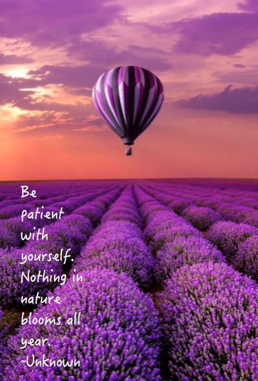 Screen Shot 2016-10-20 at 9.53.48 PM.png