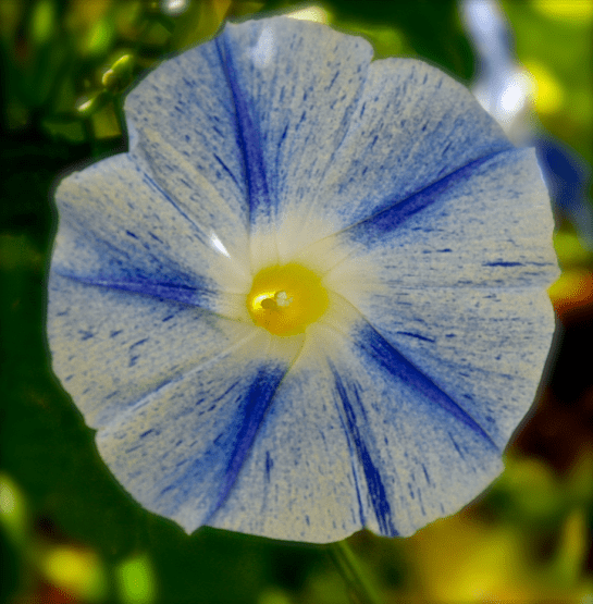 Screen Shot 2016-10-21 at 6.54.34 PM.png