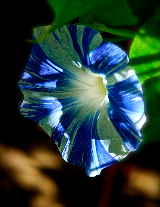 Screen Shot 2016-10-21 at 6.55.37 PM.png