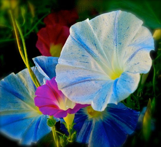 Screen Shot 2016-10-21 at 6.56.49 PM.png