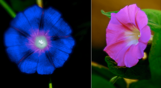 Screen Shot 2016-10-21 at 8.36.12 PM.png