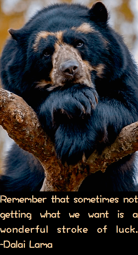 Screen Shot 2016-10-22 at 8.16.42 PM.png