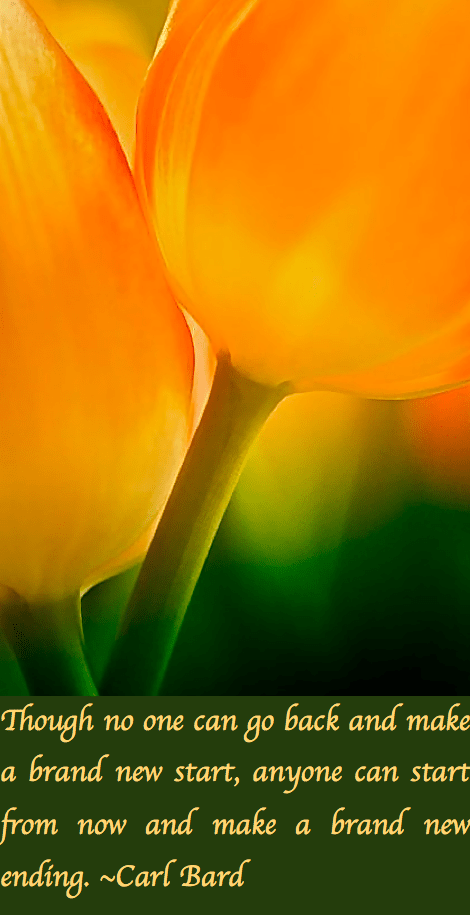 Screen Shot 2016-10-22 at 8.50.24 PM.png