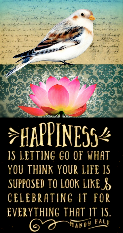 Screen Shot 2016-10-22 at 8.53.48 PM.png