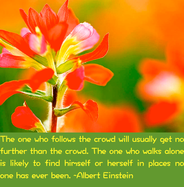 Screen Shot 2016-10-22 at 9.06.46 PM.png