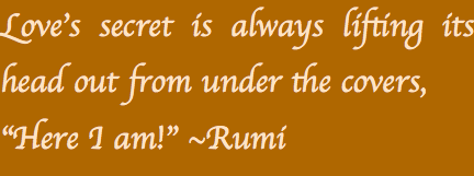 Screen Shot 2016-10-23 at 10.13.16 PM.png