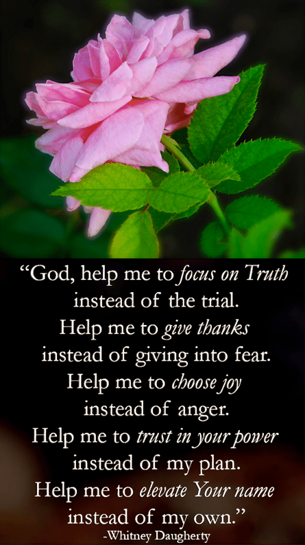 Screen Shot 2016-10-23 at 10.30.53 AM.png