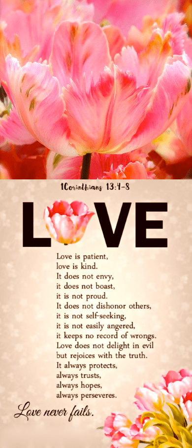 Screen Shot 2016-10-23 at 7.38.36 PM.png