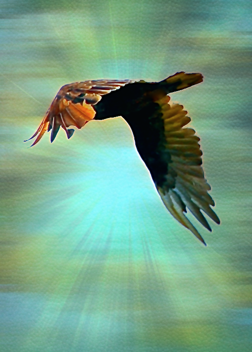 Screen Shot 2016-10-25 at 4.57.29 PM.png