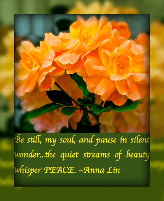 Screen Shot 2016-10-26 at 10.11.27 PM.png