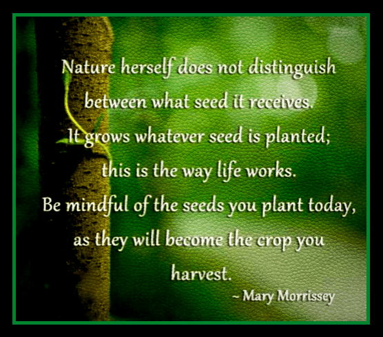 Screen Shot 2016-10-26 at 10.34.39 PM.png