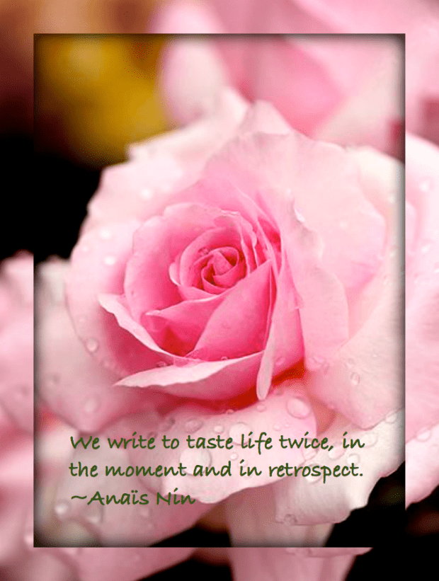 Screen Shot 2016-10-26 at 10.43.05 PM.png