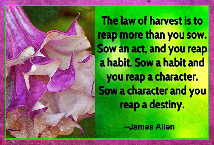 Screen Shot 2016-10-26 at 10.48.28 PM.png