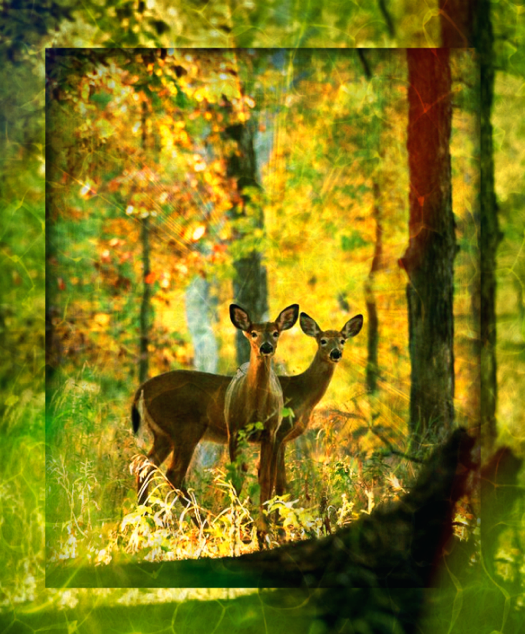 Screen Shot 2016-10-26 at 6.21.44 PM.png