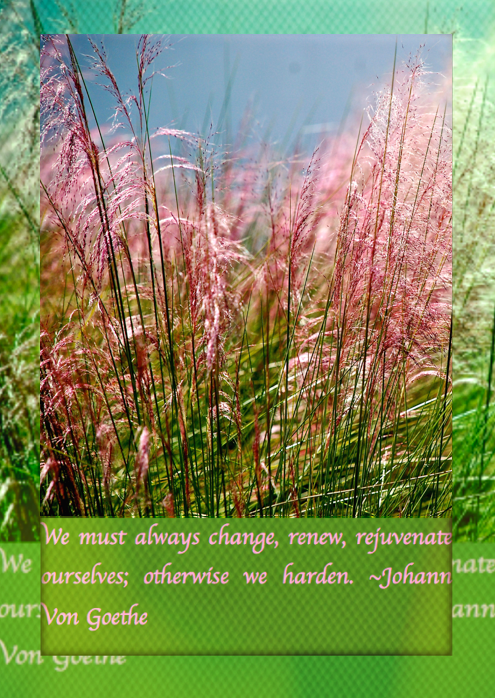 Screen Shot 2016-10-27 at 10.48.17 PM.png