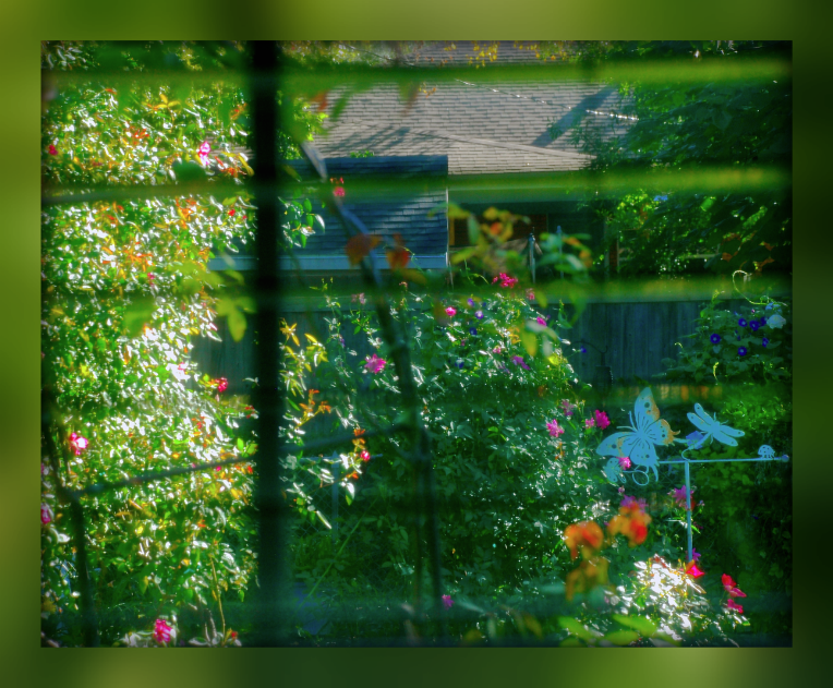 Screen Shot 2016-10-27 at 2.45.01 PM.png