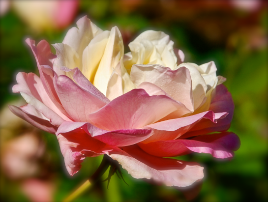 Screen Shot 2016-10-28 at 5.05.59 PM.png