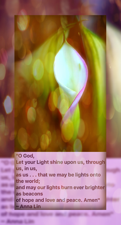 Screen Shot 2016-10-28 at 9.30.50 PM.png