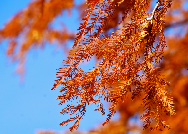 Screen Shot 2016-10-29 at 6.06.04 PM.png