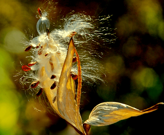 Screen Shot 2016-10-29 at 6.24.34 PM.png