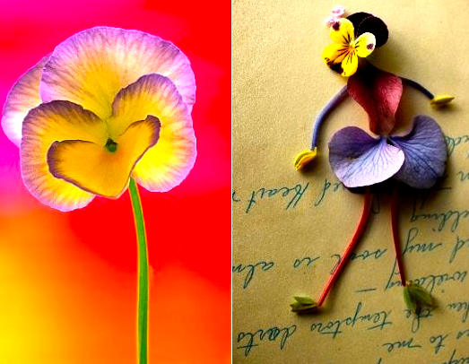 Screen Shot 2016-10-29 at 7.45.15 PM.png