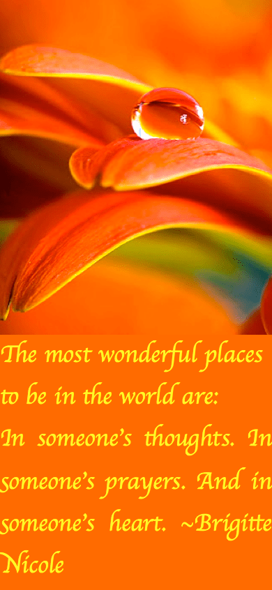 Screen Shot 2016-10-30 at 10.00.50 PM.png