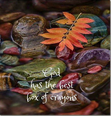 Screen Shot 2016-10-30 at 8.48.13 PM.png