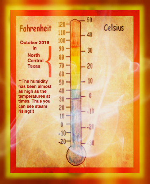 Screen Shot 2016-10-31 at 4.12.36 PM.png