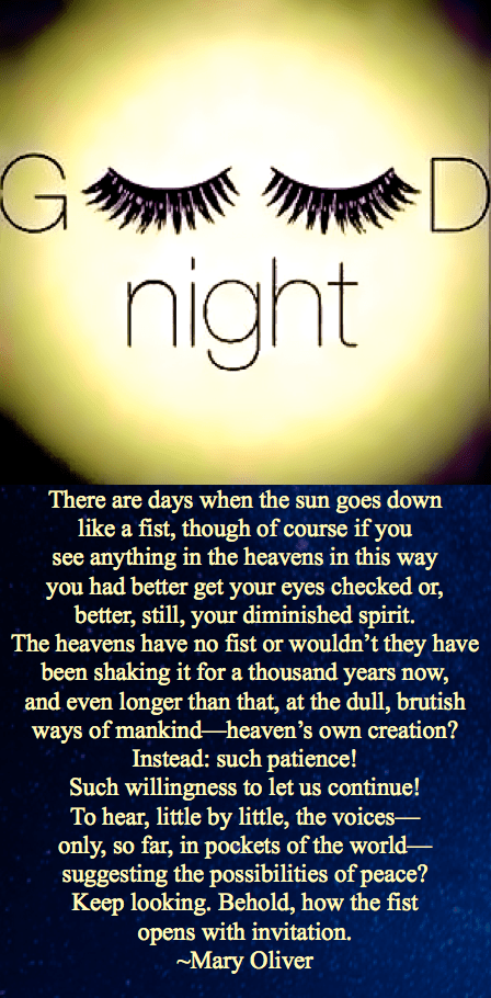 Screen Shot 2016-10-31 at 8.36.29 PM.png