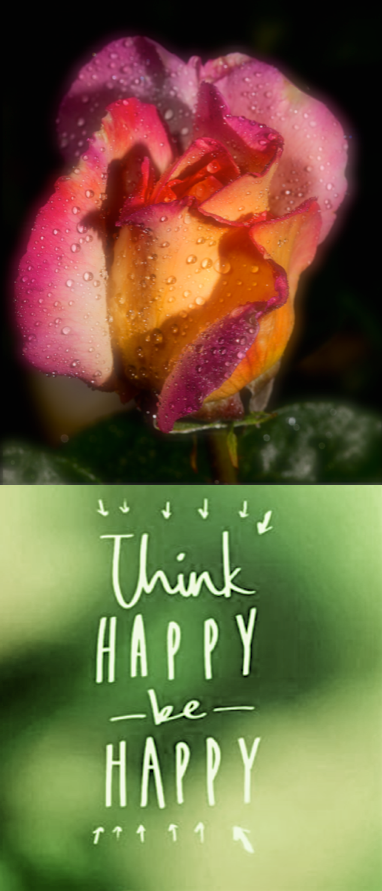 Screen Shot 2016-11-01 at 10.14.18 PM.png