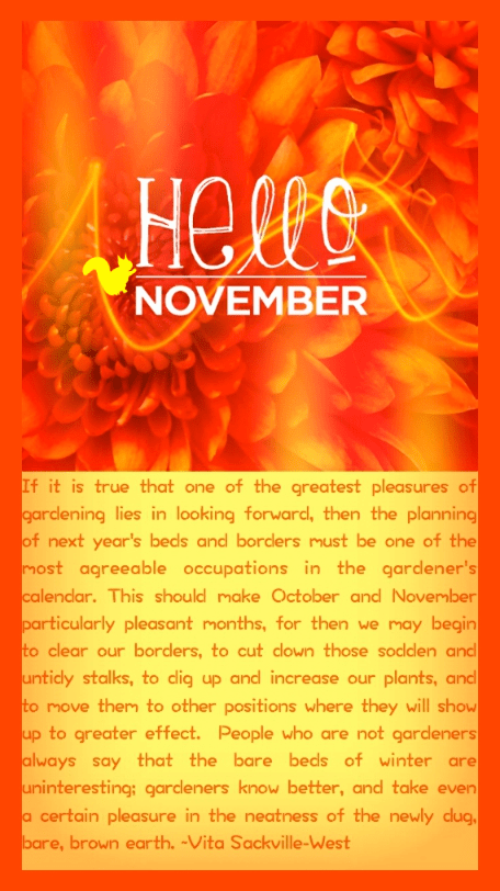 Screen Shot 2016-11-01 at 8.32.23 PM.png