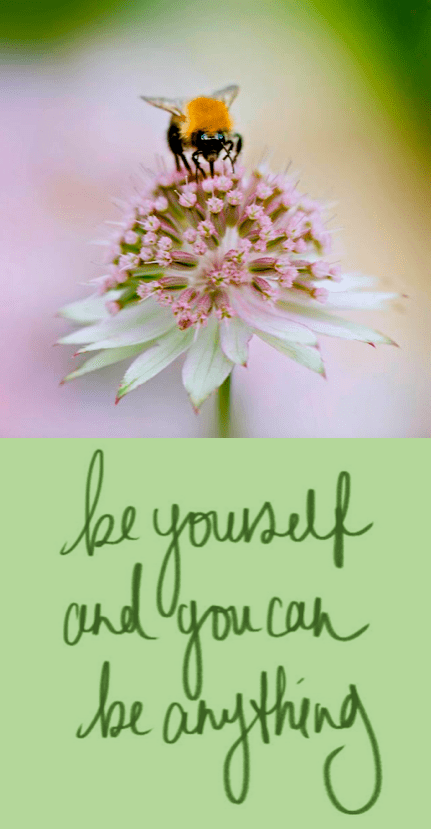 Screen Shot 2016-11-01 at 9.31.15 PM.png