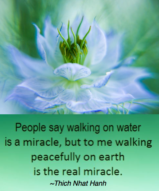 Screen Shot 2016-11-01 at 9.38.16 PM.png