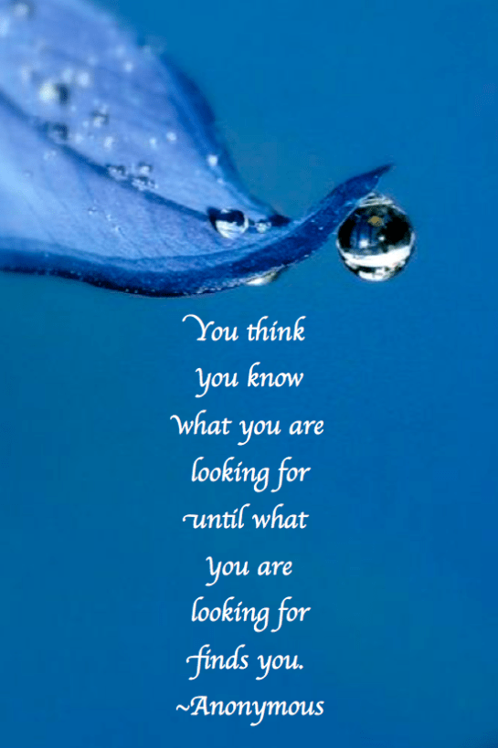 Screen Shot 2016-11-01 at 9.46.48 PM.png