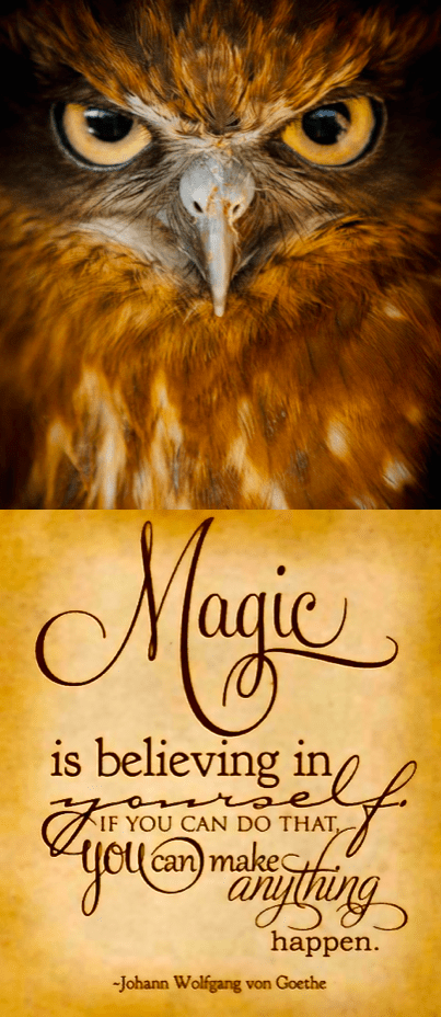 Screen Shot 2016-11-04 at 8.54.30 PM.png