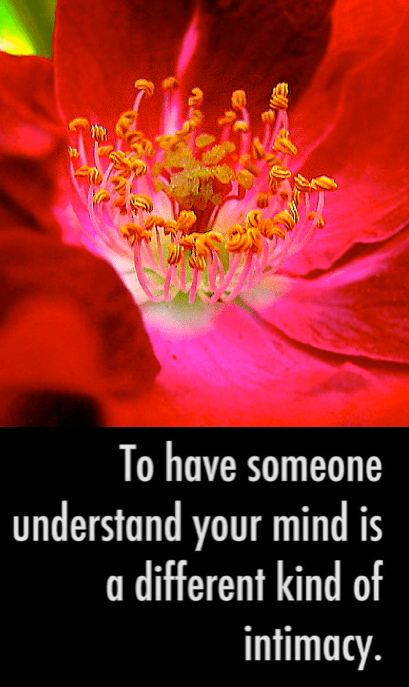 Screen Shot 2016-11-04 at 8.58.28 PM.png