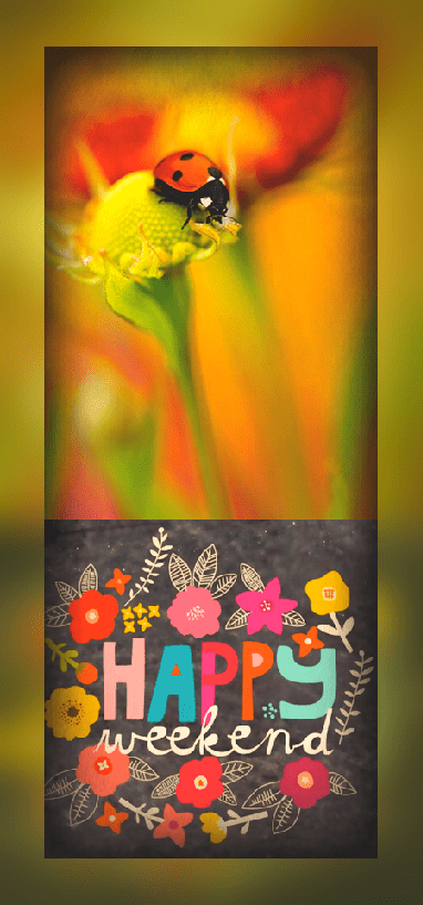 Screen Shot 2016-11-04 at 9.18.55 PM.png