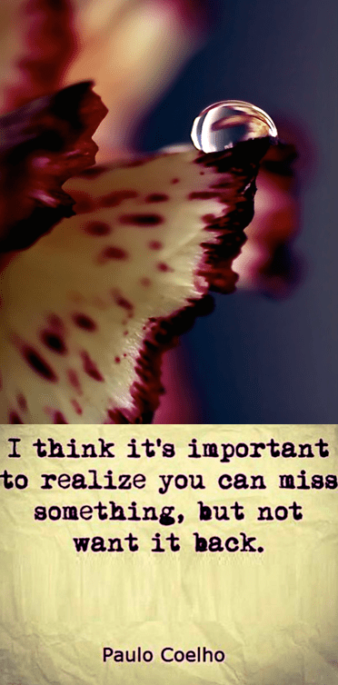 Screen Shot 2016-11-04 at 9.28.46 PM.png