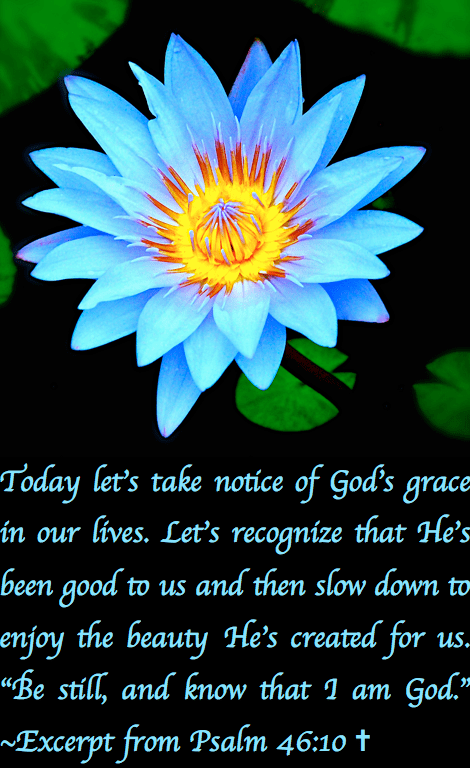 Screen Shot 2016-11-05 at 10.33.31 PM.png